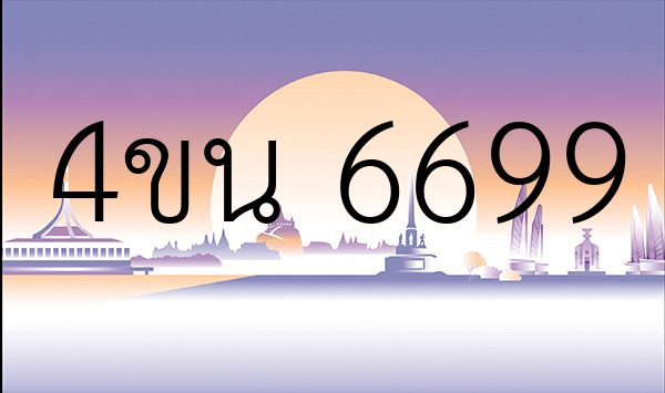 4ขน 6699